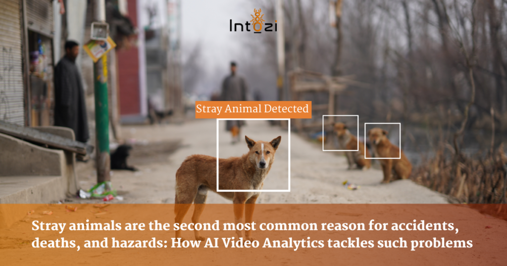 No Stray Animal Left Unattended Using AI Video Analytics
