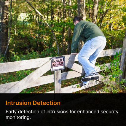 Intrusion detction system