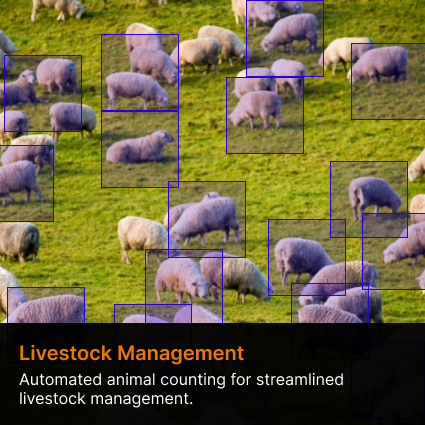 Livestock Maagement