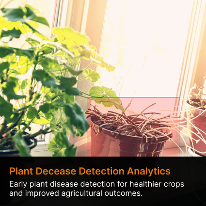 Plant Decease detection