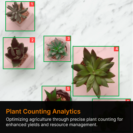 Plant counting analytics system