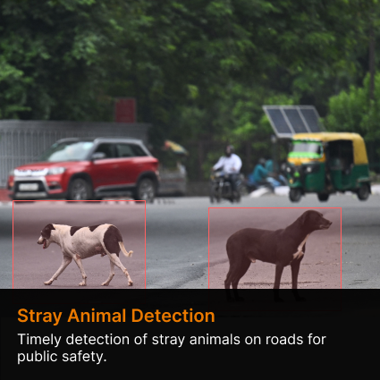 Stray animal detection system