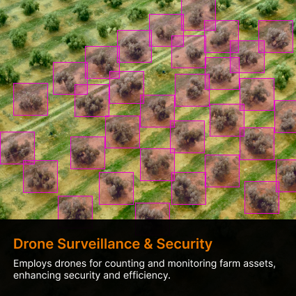 drone survelliance & security