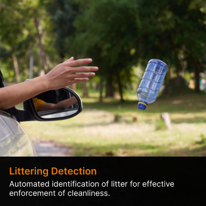 littering Detection