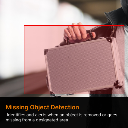 missing objection detection system