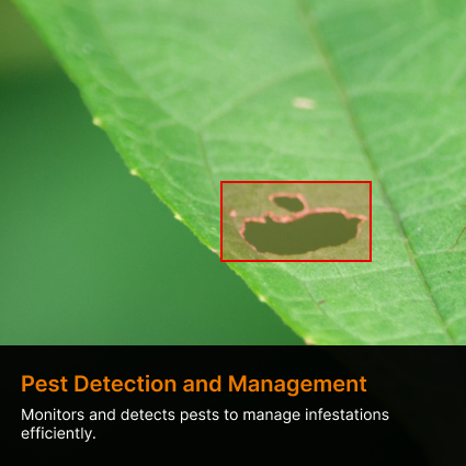 pest detection management