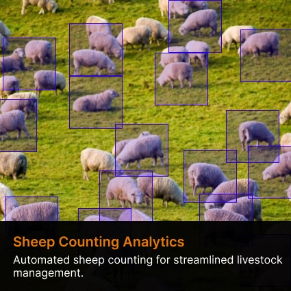 Sheep-counting