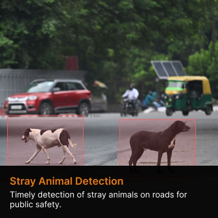 Stray-Animals-detection