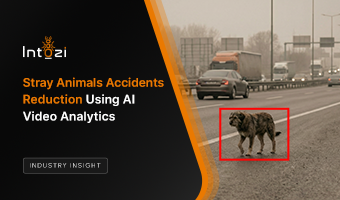 Stray Animals Accidents Reduction Using AI
