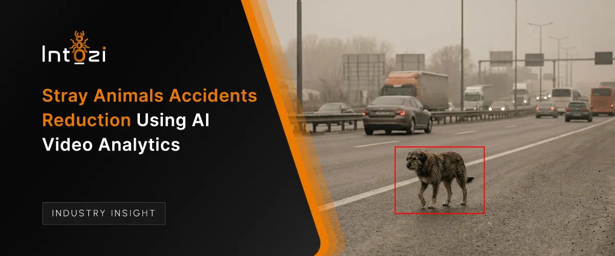 Stray Animals Accidents Reduction Using AI