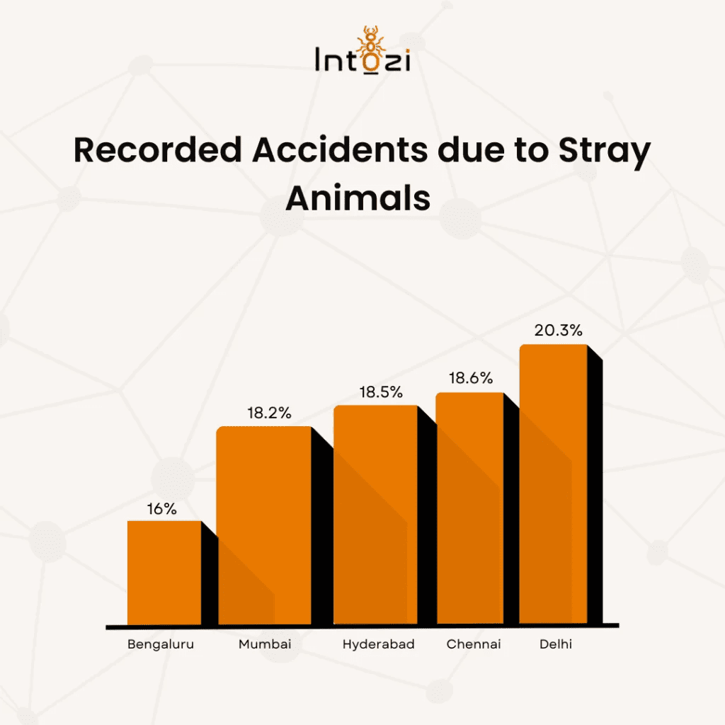 car accidents caused by animals statistics