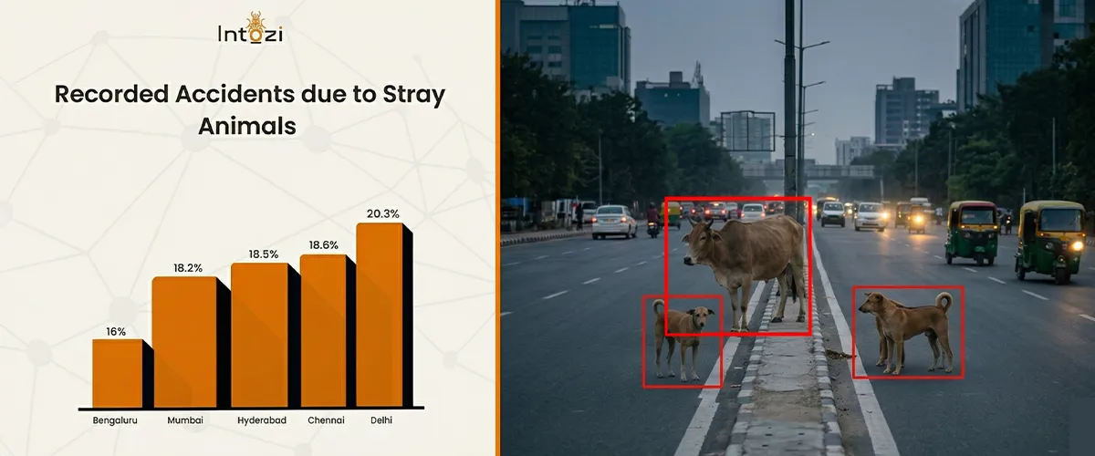 car accidents caused by animals statistics