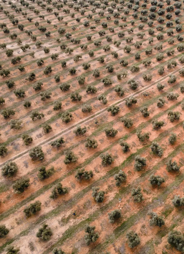 animal intrusion for smarter, safer farms.