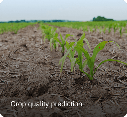 plant counting analytics