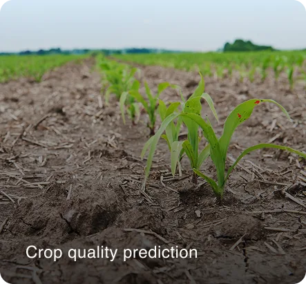 plant counting analytics