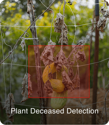 people counting analystics