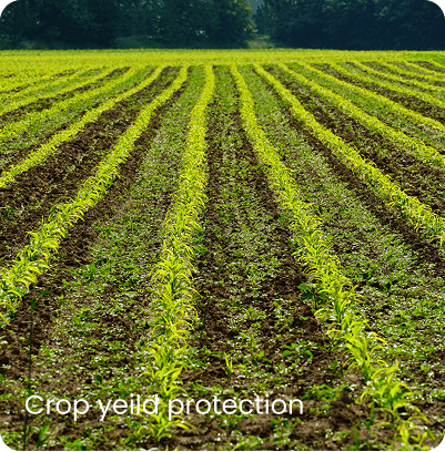 people counting analystics